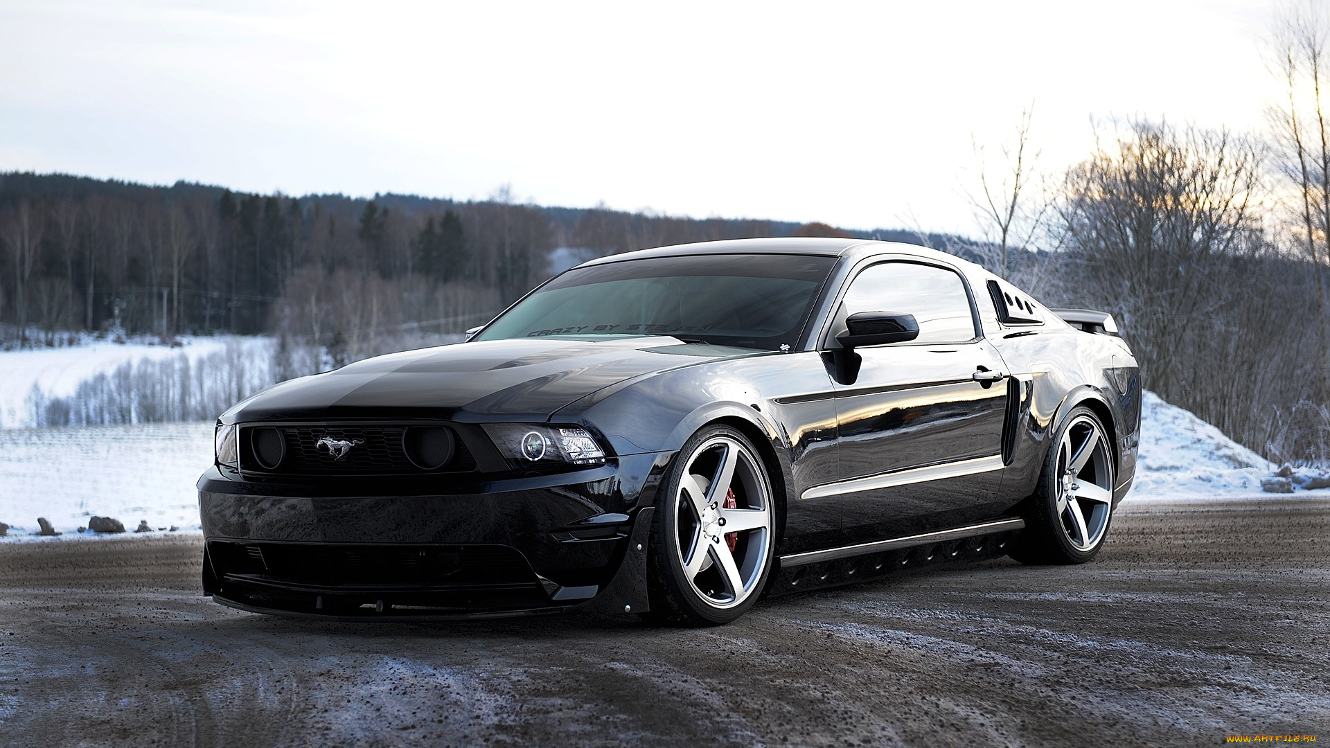 mustang, , , ford, motor, company